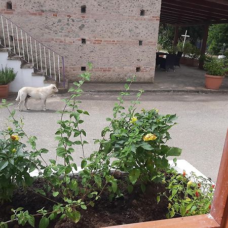 Azienda Agricola Neocastrum لاميزيا تيرمي المظهر الخارجي الصورة
