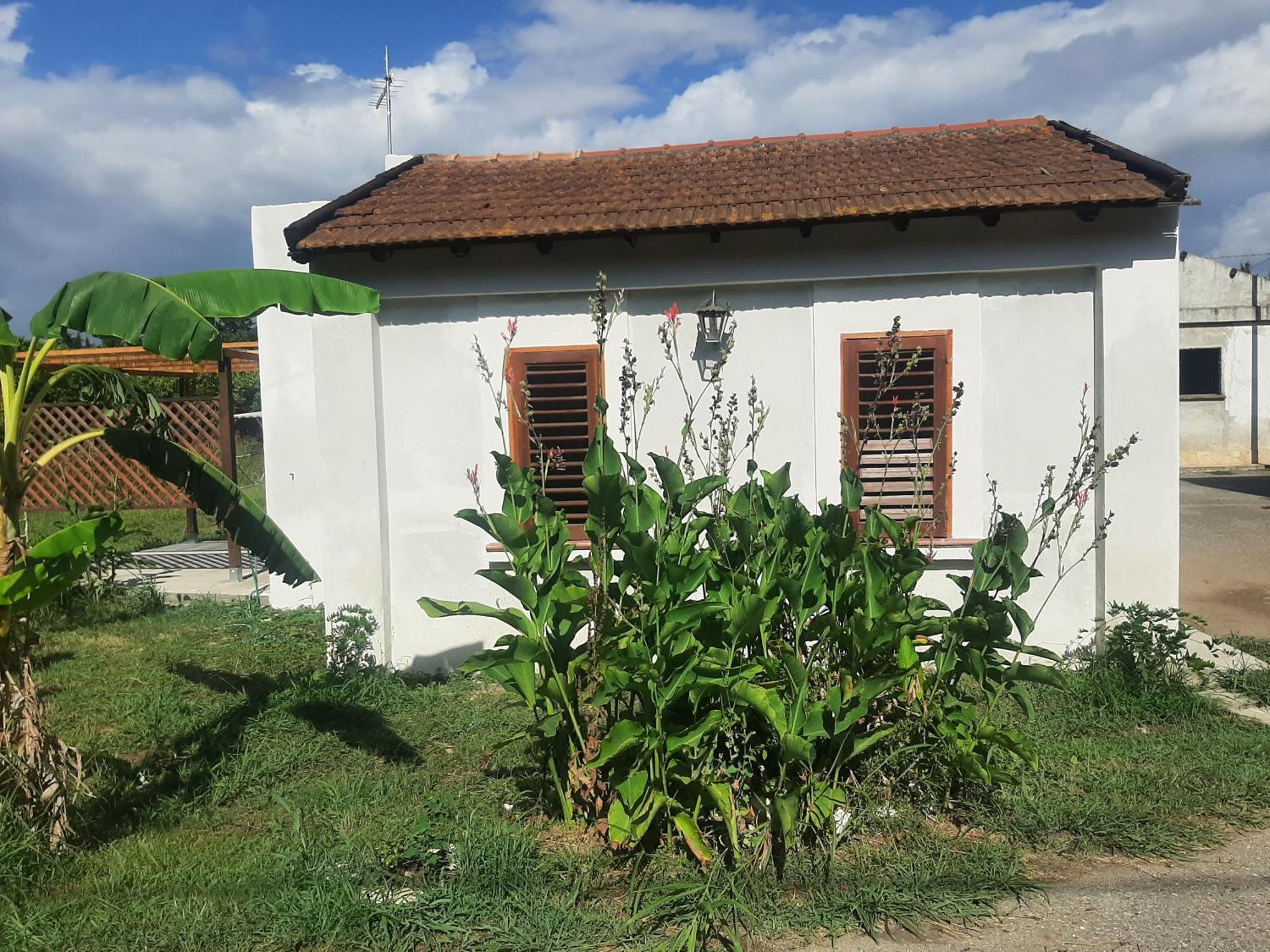 Azienda Agricola Neocastrum لاميزيا تيرمي المظهر الخارجي الصورة